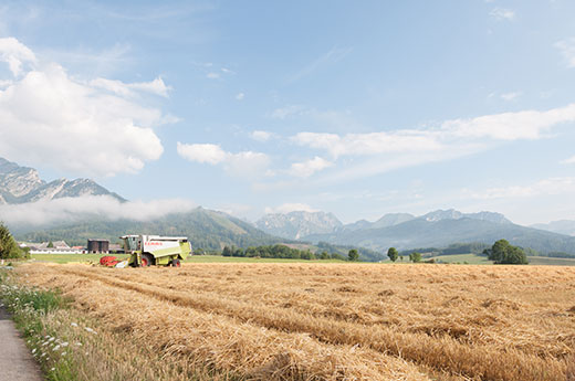 Erntezeit in Trofaiach: Traktor am Feld